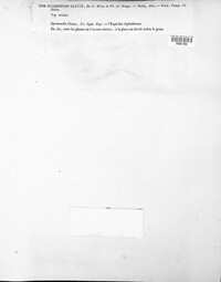 Claviceps purpurea image
